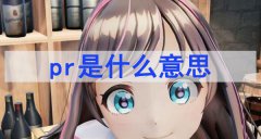 pr是什么意思（網(wǎng)絡(luò)語(yǔ)）